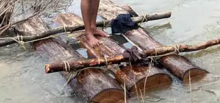 Teak Smuggling: नदी में बहाकर हो रही थी सागौन तस्करी, वन विभाग ने तोड़ा तस्करों का जाल