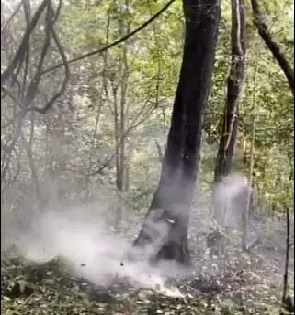 दंतेवाड़ा में नक्सलियों की साजिश नाकाम, जवानों ने बरामद किया 5 किलो IED